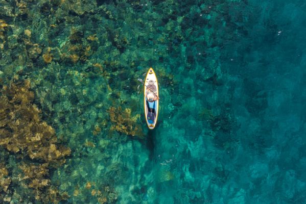 Puerto RicoCabo Rojo Reef Paddleboard