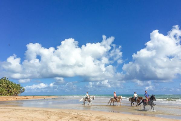 Puerto RicoHorseback Riding on the Bea