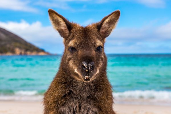 AustraliaTourism