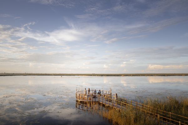 HotelBotswanaLinyantiDumaTauJetty