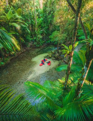 HDAustralienQueenslandDaintreeBack Country Bliss DaintreeRainforest