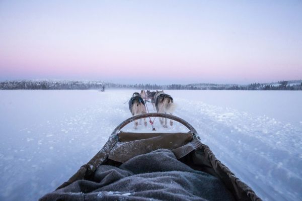 HDHotelFinnlandOctolaExperiencesSchlittenhunde